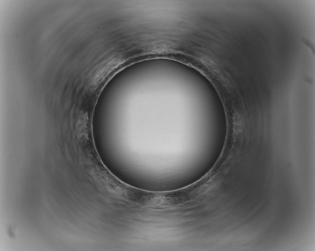 X0000100851265200806201206