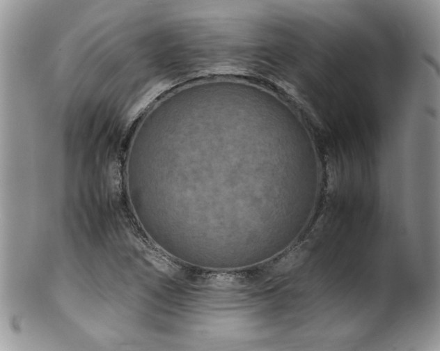 X0000100851266200806201205