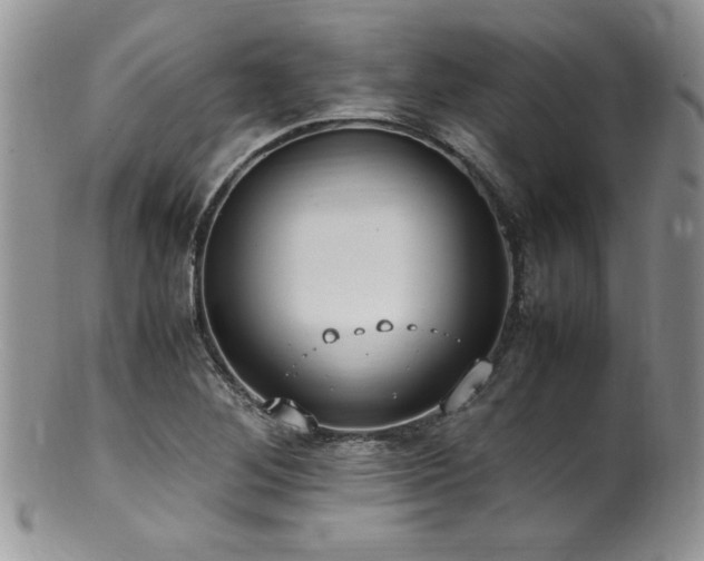 X0000100851268200806201205