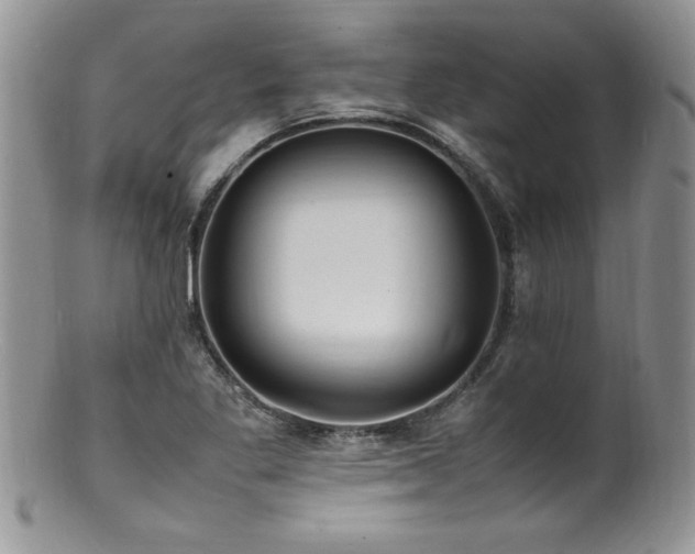 X0000100851269200806201205