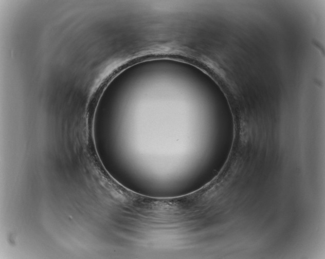 X0000100851270200806201205