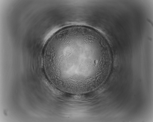 X0000100851271200806201205