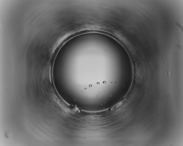 X0000100851272200806201205
