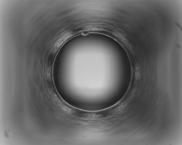 X0000100851273200806201205