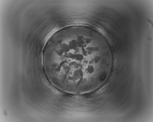 X0000100851275200806201205