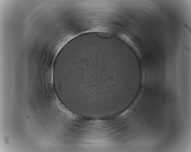 X0000100851276200806201205