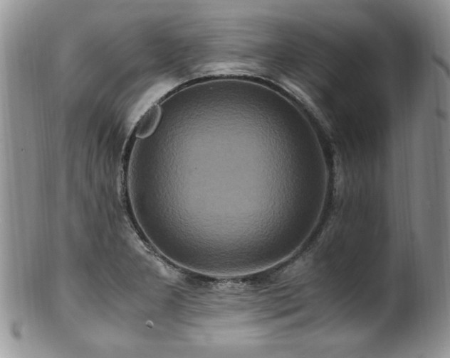 X0000100851277200806201205