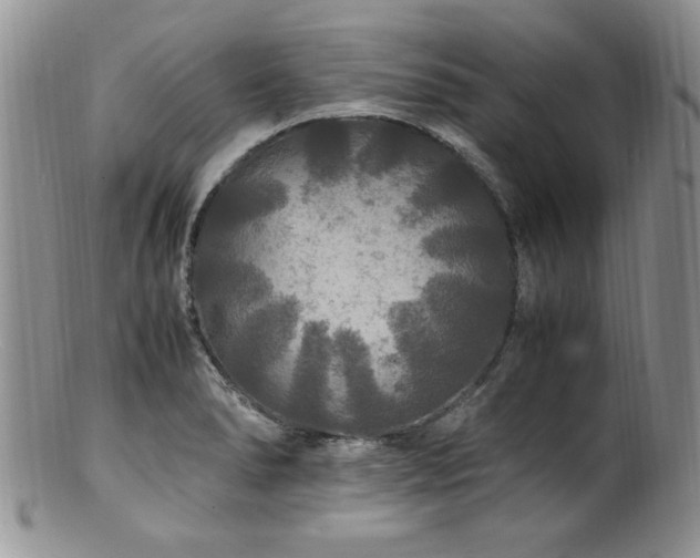 X0000100851278200806201205