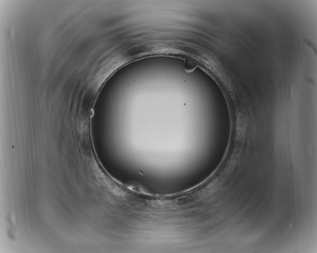 X0000100851281200806201205
