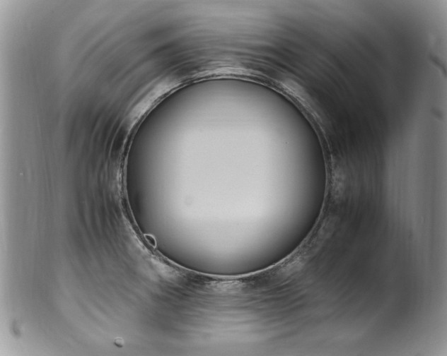 X0000100851282200806201205