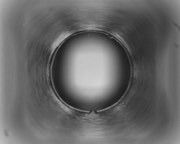 X0000100851285200806201205