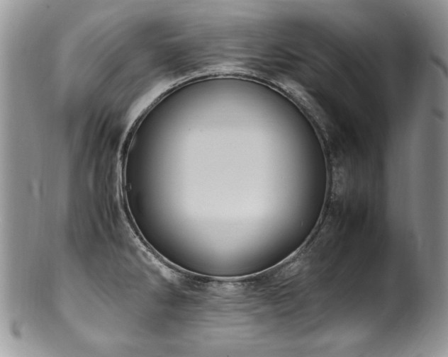 X0000100851286200806201205