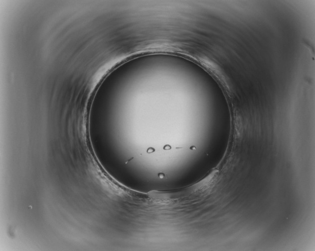X0000100851288200806201205