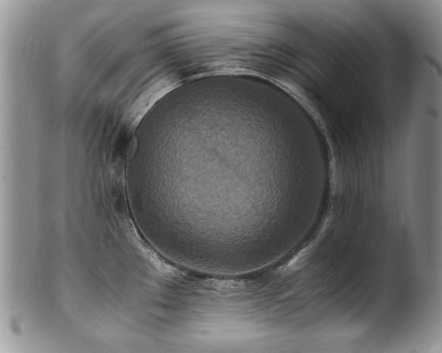 X0000100851289200806201205