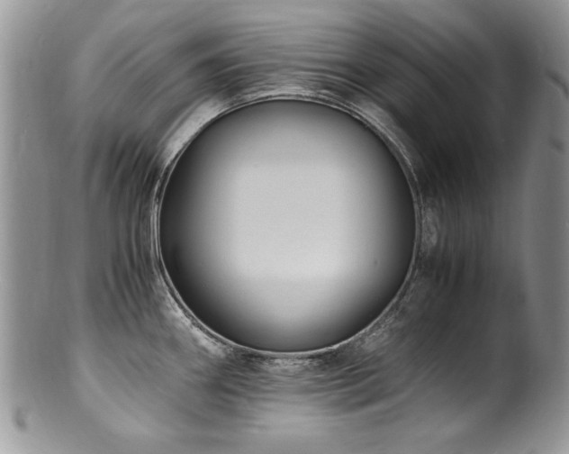 X0000100851290200806201205