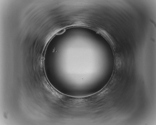 X0000100851292200806201205