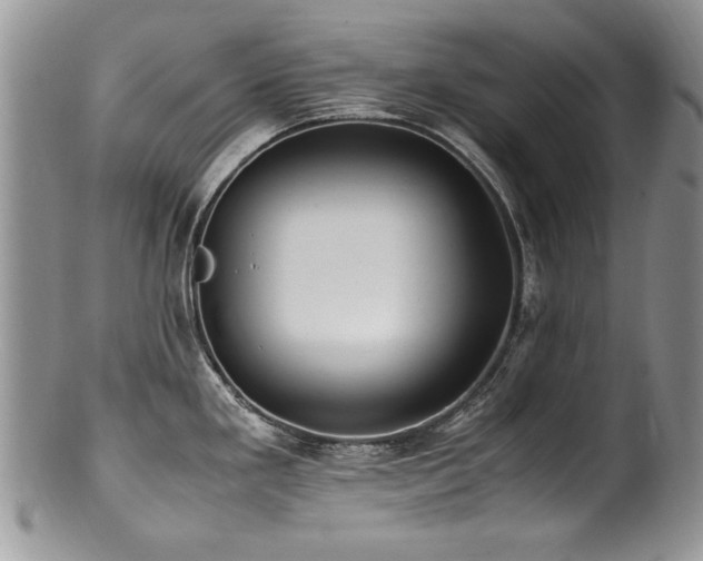 X0000100851293200806201205