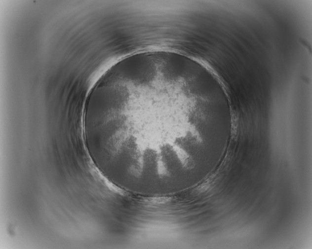 X0000100851294200806201205