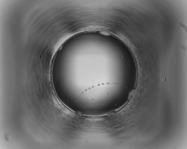 X0000100851296200806201205