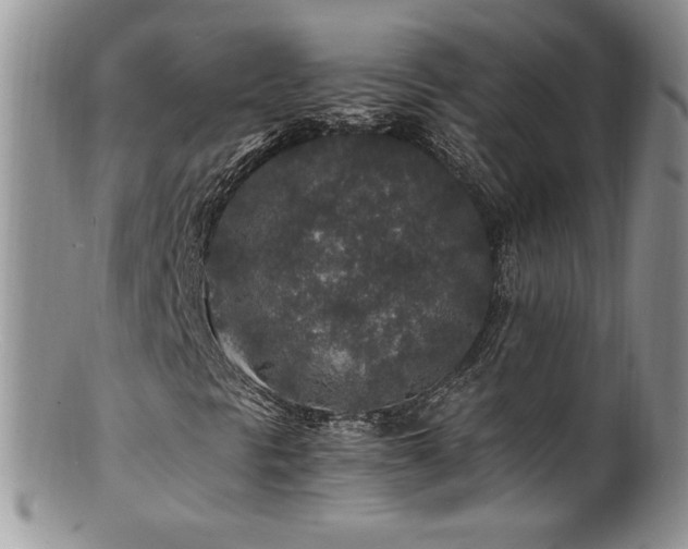 X0000100851297200806201204