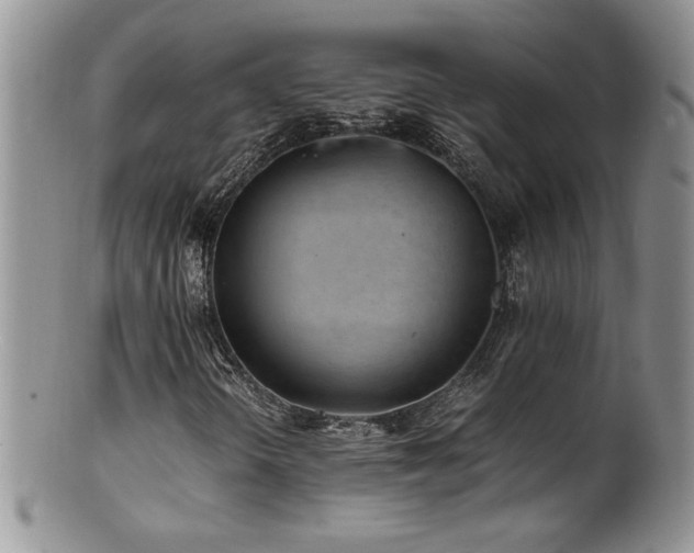 X0000100851298200806201204