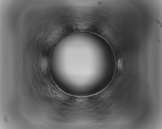 X0000100851299200806201204