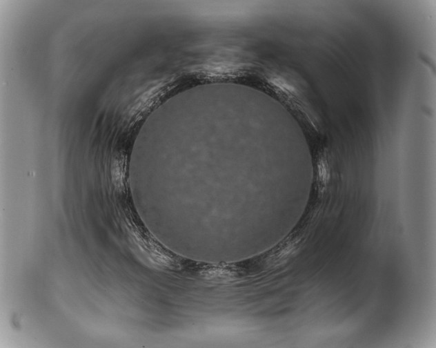 X0000100851300200806201204