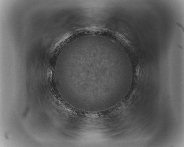 X0000100851302200806201204