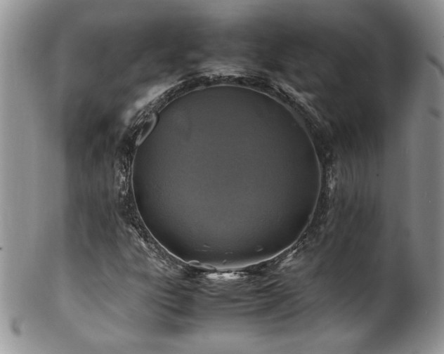 X0000100851303200806201204