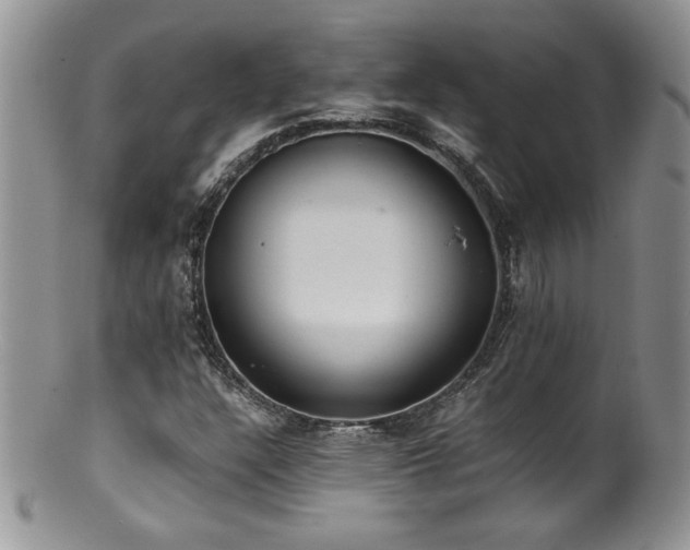 X0000100851304200806201204