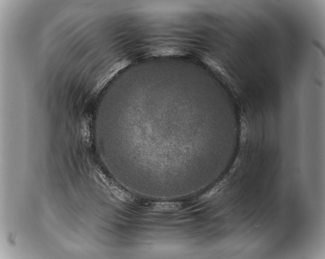 X0000100851305200806201204