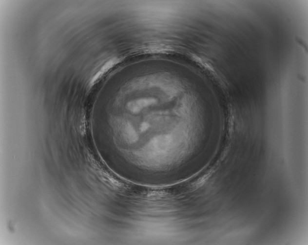 X0000100851306200806201204