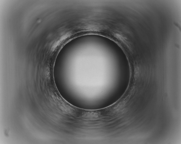 X0000100851307200806201204