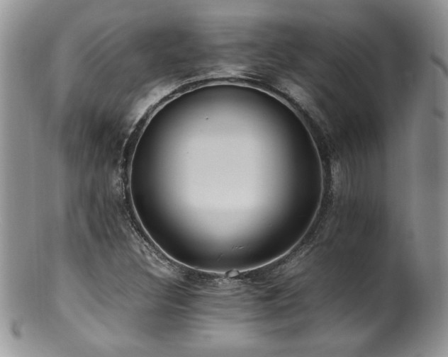 X0000100851308200806201204
