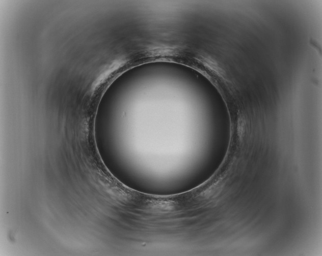 X0000100851309200806201205