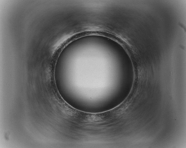 X0000100851311200806201205