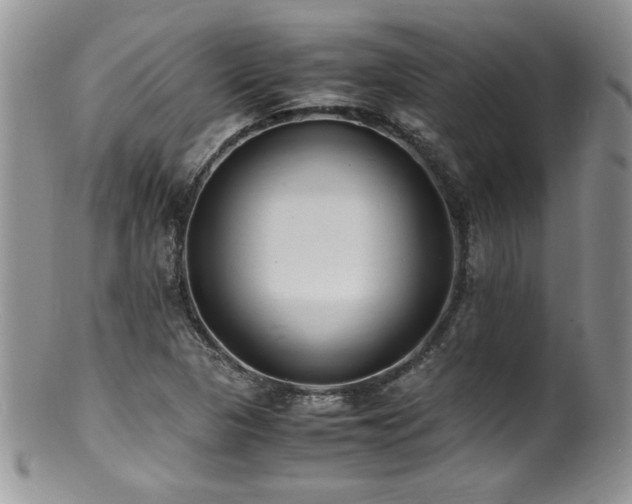 X0000100851313200806201205