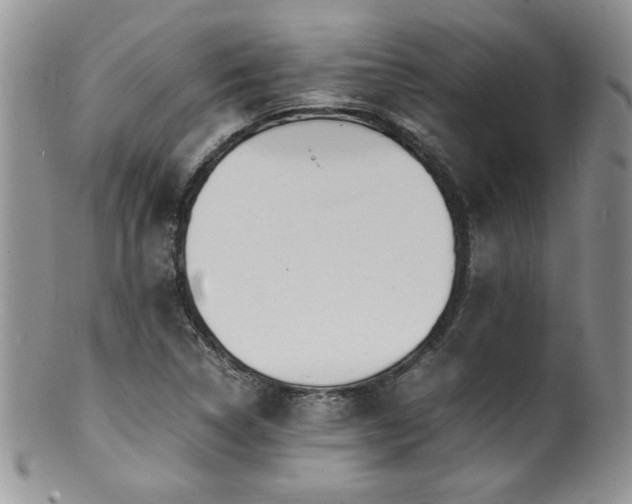 X0000100851314200806201205