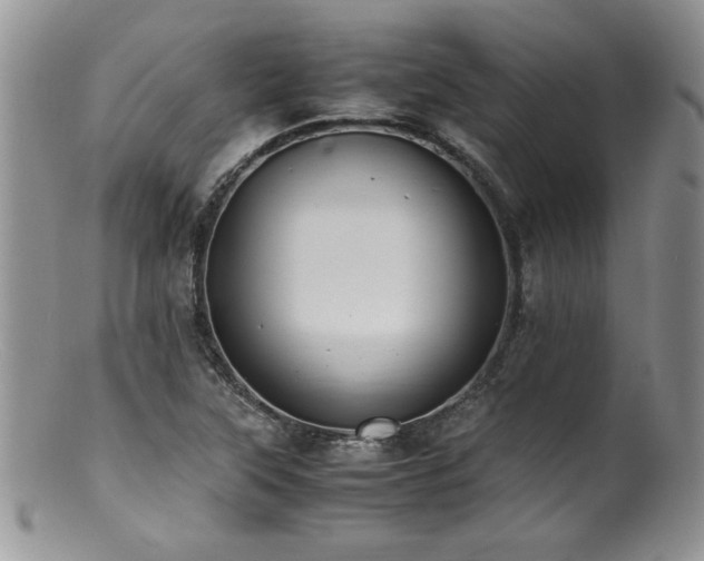X0000100851315200806201205