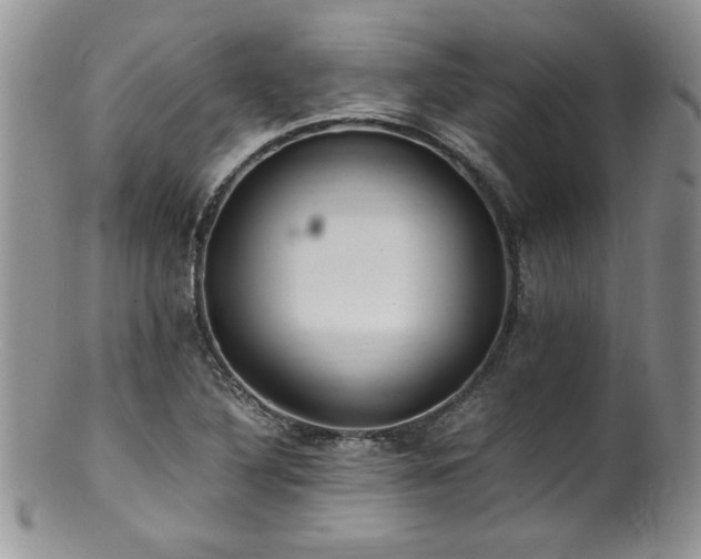 X0000100851316200806201205