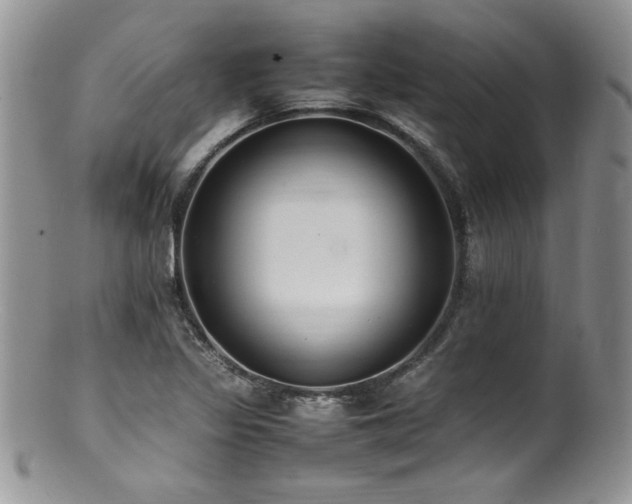 X0000100851317200806201205
