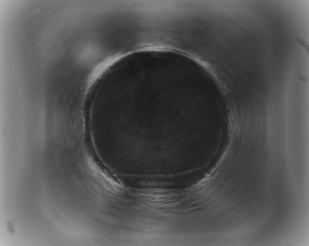 X0000100851319200806201205