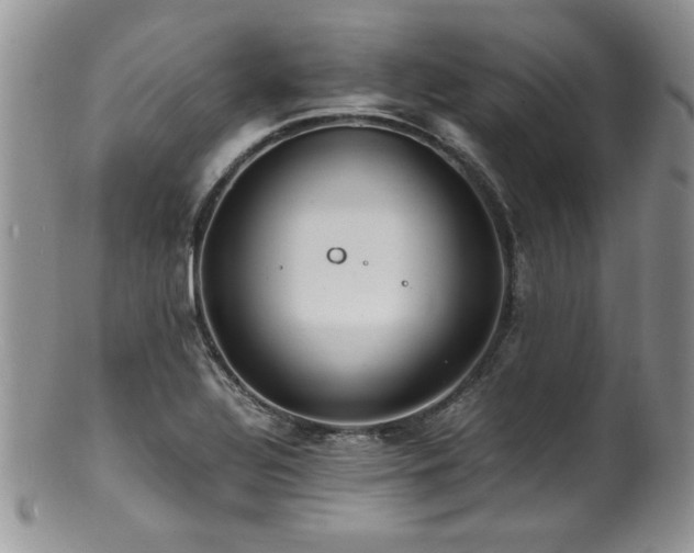 X0000100851320200806201205