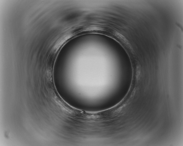 X0000100851321200806201205