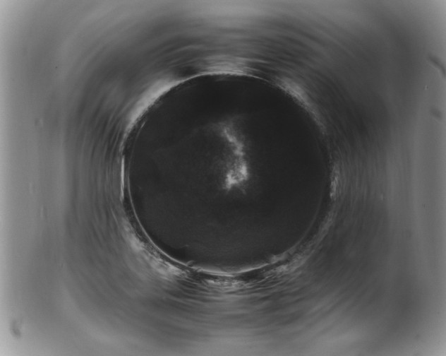 X0000100851323200806201205
