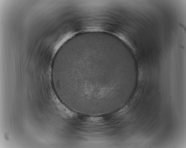X0000100851325200806201205