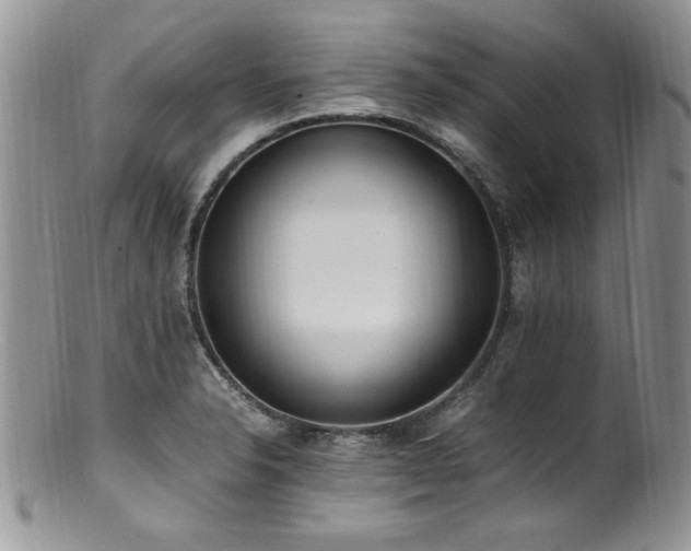 X0000100851326200806201205