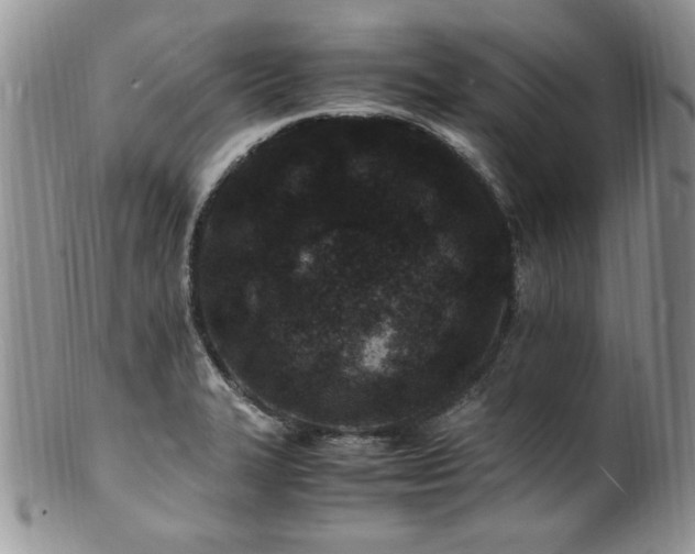 X0000100851327200806201205
