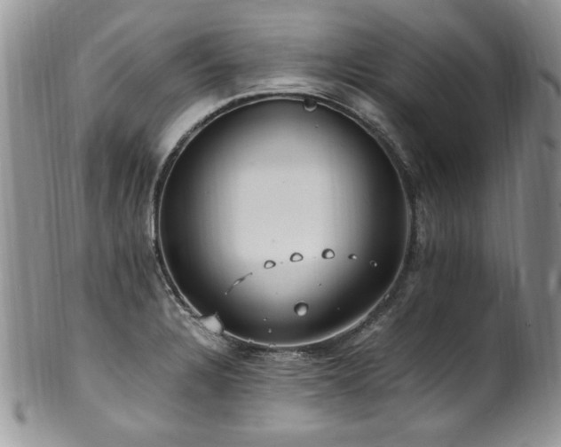 X0000100851328200806201205