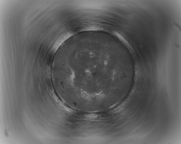 X0000100851329200806201205